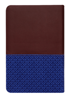 BIBLIA DE ESTUDIO DE LA RECONCILIACION COLOR AZUL VINOTINTO CANTO PLATEADO RVR065EETILG - Tu Biblia