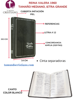 Biblia Reina Valera 1960 Mediana Letra Grande Imitación Piel Árbol Verde [RVR065CLGCM]