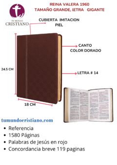 Biblia Reina Valera 1960 Grande, Letra Gigante Imitación Piel Vino QR [RVR086cLGiPJR]