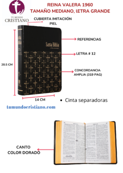 Biblia Reina Valera 1960 Mediana Letra Grande Imitación Piel Negro [RVR065CLGET]