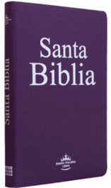 BIBLIA RVR065e MED ULTRAFINA IMIT LILA - comprar en línea