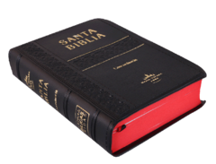 Biblia Reina Valera 1960 Tamaño Bolsillo Letra chica Vinil Negro [RVR022cLGTI] - tienda en línea