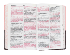 BIBLIA LETRA 14 PUNTOS ROSA CON MARRON CANTOS FLOREADOS PASTA CON ADORNOS GRABADOS RVR066cLSGiPJRZTI en internet