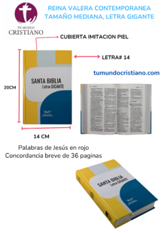 Biblia Reina Valera Contemporánea Mediana Letra Gigante 14 puntos Imitación Piel Azul [RVC.66cLGiPJR]