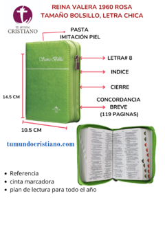 Biblia Reina Valera 1960 Tamaño Bolsillo Letra Mediana Imitación Piel Verde [RVR025cZTI]