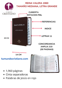 BIBLIA RVR053CTILGPJR MED TD CAFÉ