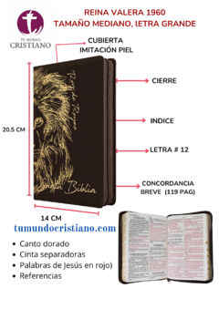 Biblia Reina Valera 1960 Mediana Letra, Grande Piel Fabricada León Café [RVR066cLGPJRTIZ]