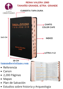 BIBLIA DE ESTUDIO TEOLOGICO TAPA DURA RVR083cLGEETI-BET