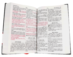 BIBLIA MEDIANA DE TAPA DURA NEGRA CON LETRA GRANDE RVR063cLGPJR en internet