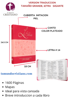 Biblia Traducción Lenguaje Actual Grande Letra Gigante Imitación Piel Duo Fiusha [TLA86LGI]