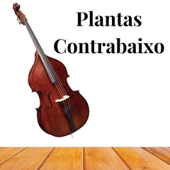 Planta de Contrabaixo - Amati