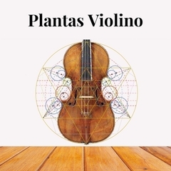 Planta de Violino - Nícolo Amati 1666