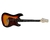 Guitarra Giannini G-100 Stratocaster Sunburst Tortoise 3ts/tt (5701)