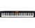 Piano Digital Casio Stage Cdp-s350 Preto Com Fonte (3939)