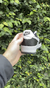 Nike AirForce Panda - American Shoes