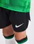 Conjunto Infantil Nike Liverpool II 2023/24- Branco e Verde - Futclube