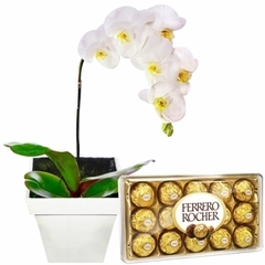 Orquídea Branca e Ferrero Rocher
