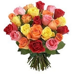 Bouquet 24 Colorful Roses