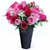 Fuchsia Black Vase Arrangement