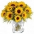 Aquarius 15 Sunflowers Flowers