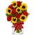 Sunflowers Aquarium and 6 Colombian Roses