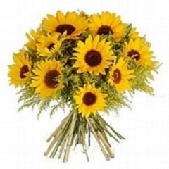 Bouquet 15 Sunflowers