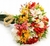 Ramo de Alstromellia multicolor