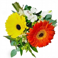 Bouquet Due Gerberas