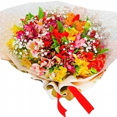 Colorful Alstroemeria Bouquet on internet