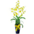 Luxury Oncidium Orchids