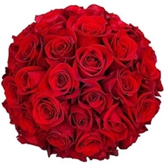 20 Red Colombian Roses