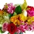 Rio de Janeiro Flowers Arrangement on internet