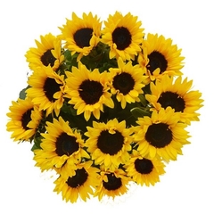 Wonderful Sunflowers Bouquet