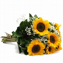 Six Sunflowers Bouquet