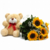 Six Sunflowers Bouquet and Teddy Bear