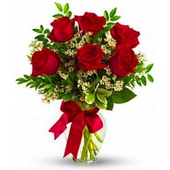 Vase 6 Red Colombians Roses