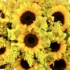 Sunflower Garden on internet