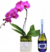 Lilac Phal Orchids and Italian Sparkling Wine