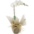 Orquídeas Phal Brancas Hiper Luxo - R3