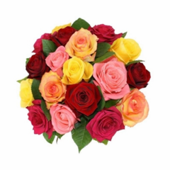 Buquê Especial 18 Rosas Coloridas
