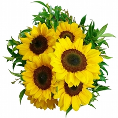 Gorgeous Sunflowers Bouquet - buy online