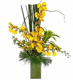 Orquídeas Oncidium Arte Diseñador