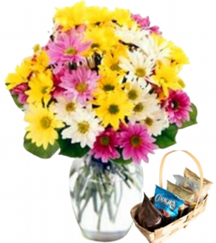 Multicolored Daisies Vase and 5 Delights Combo