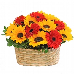 Flower Garden with Sunflowers and Gerberas