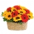 Flower Garden with Sunflowers and Gerberas