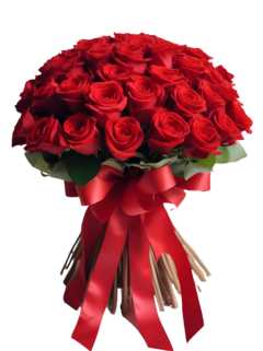 Buque 36 Rosas Colombianas - comprar online