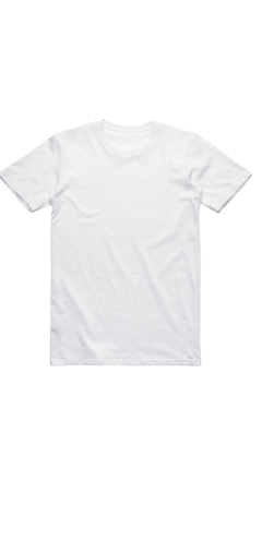 REMERA ALGODON