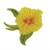 Patch Termocolante Flor Amarela - 6,50 x 6,50 cm