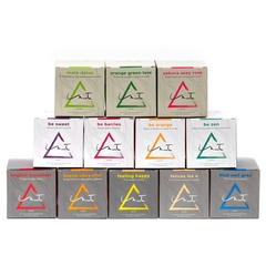 Mate Detox - 12 saq. Piramide - Inti Tea Pro