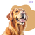 Talco Banho a Seco Para Cães e Gatos Perfume Anti Odor Pet Clean 100g - comprar online